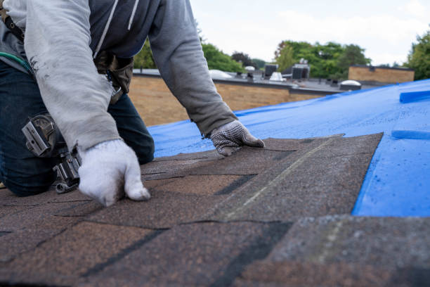 Best Flat Roofing  in Mountain View, HI