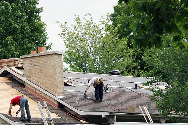 Best Roof Moss and Algae Removal  in Mountain View, HI